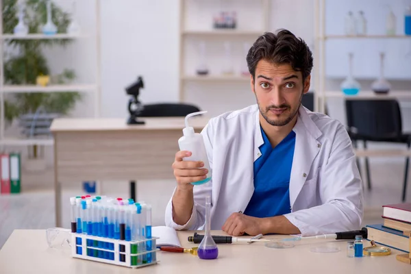 Jovem químico do sexo masculino que trabalha no laboratório — Fotografia de Stock