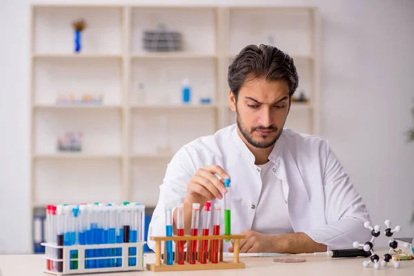 Ung manlig kemist som arbetar på labbet — Stockfoto