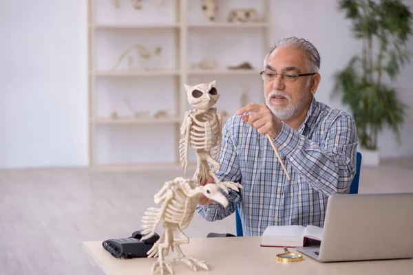 Viejo paleontólogo masculino examinando animales antiguos en el laboratorio —  Fotos de Stock