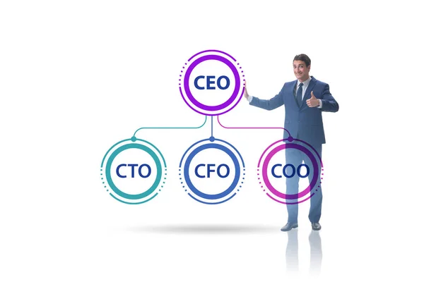 Ilustrace organizačního schématu s různými manažery — Stock fotografie