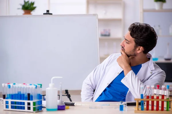 Jonge mannelijke chemicus werkt in het lab — Stockfoto