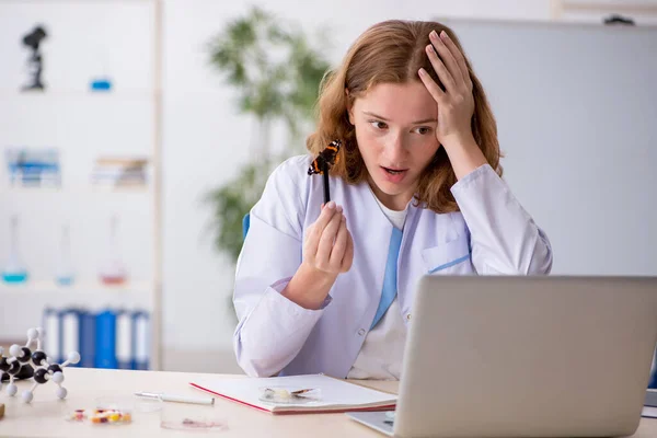 Young female entomologist working at the lab — Stock Photo, Image