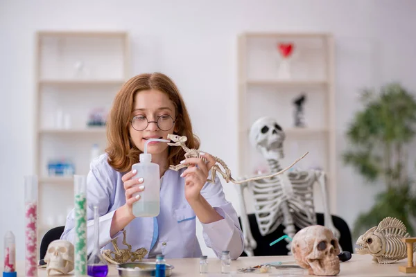 Young female zoologist working at the lab — Stock Photo, Image