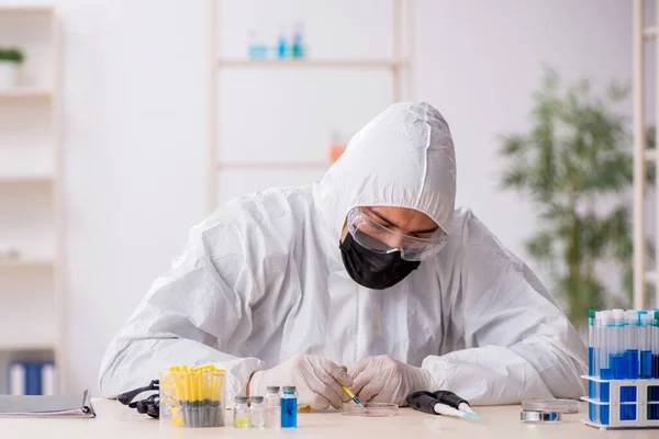 Jeune chimiste masculin travaillant au laboratoire pendant la pandémie — Photo