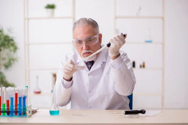 나이든 남성 화학자 가 연구실에서 일하고 있습니다. — 스톡 사진