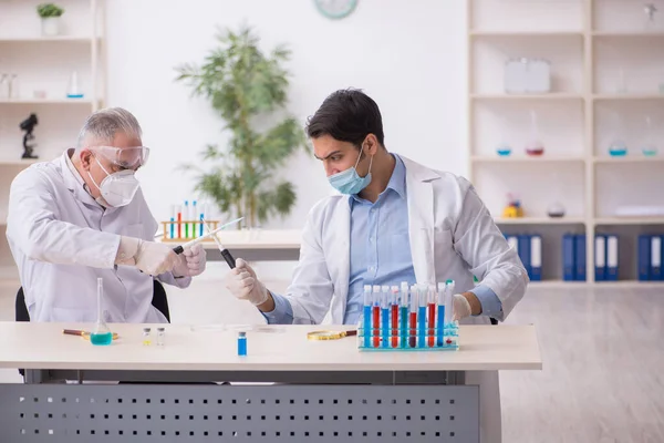 Dois químicos do sexo masculino trabalhando no laboratório durante a pandemia — Fotografia de Stock