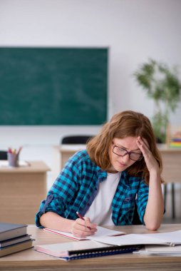 Sınava hazırlanan genç kız öğrenci.