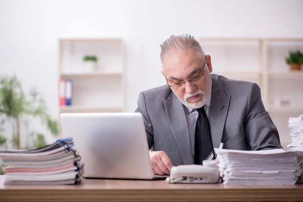 Velho Empresário Empregado Que Trabalha Escritório — Fotografia de Stock