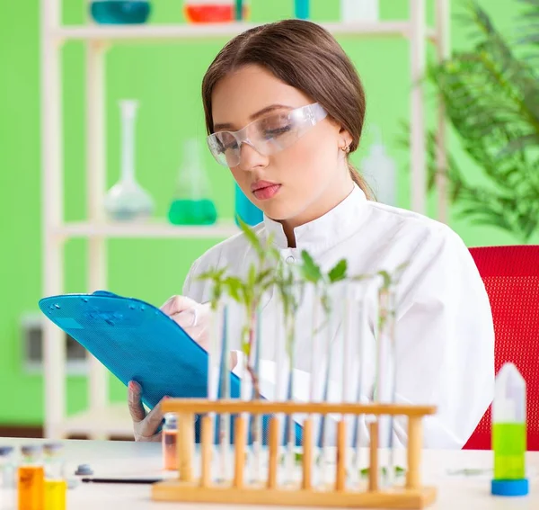 Bela Cientista Química Biotecnológica Feminina Que Trabalha Laboratório — Fotografia de Stock