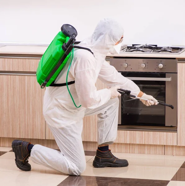 Kontraktor Profesional Melakukan Pengendalian Hama Dapur — Stok Foto