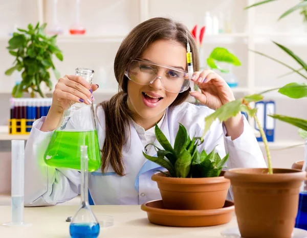 Joven Química Biotecnológica Hermosa Que Trabaja Laboratorio — Foto de Stock
