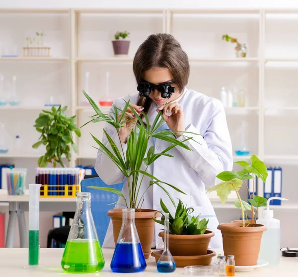 Jeune Belle Chimiste Biotechnologique Travaillant Dans Laboratoire — Photo