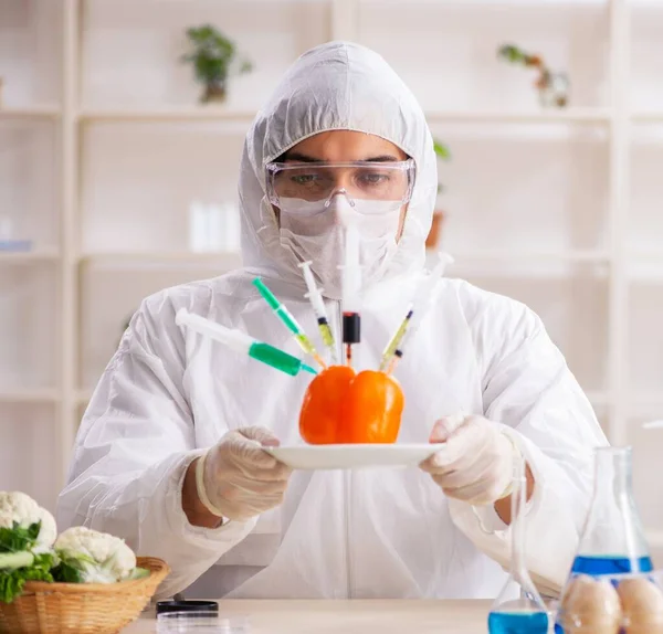 Der Wissenschaftler Arbeitet Labor Gmo Obst Und Gemüse — Stockfoto