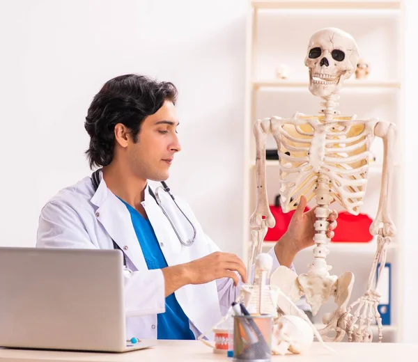 Der Junge Arzt Mit Skelett — Stockfoto