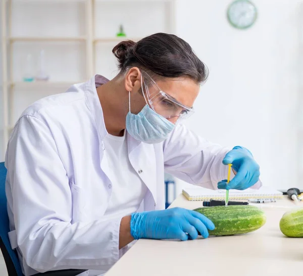 Mannelijke Voedingsdeskundige Die Groenten Test Het Lab — Stockfoto