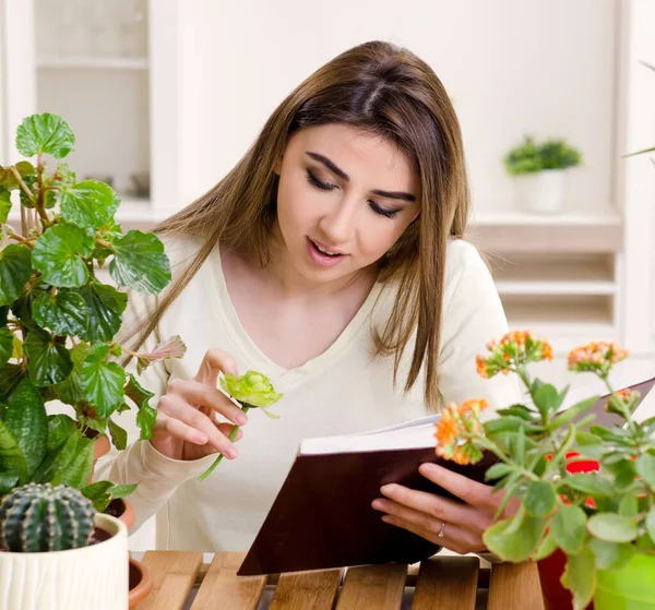 The young female gardener with plants indoors