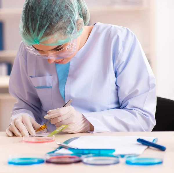 Jovem Química Que Trabalha Laboratório — Fotografia de Stock