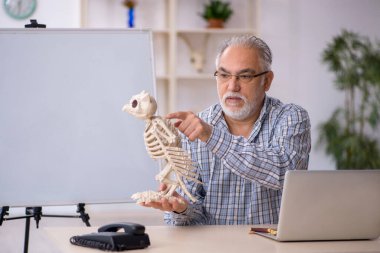 Eski paleontolog laboratuvarda eski hayvanları inceliyor.