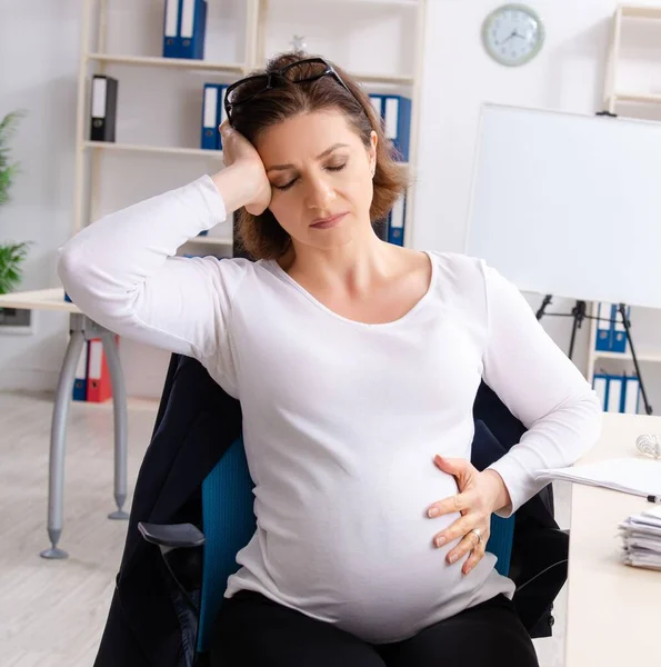 Old Pregnant Woman Working Office — Stock Photo, Image
