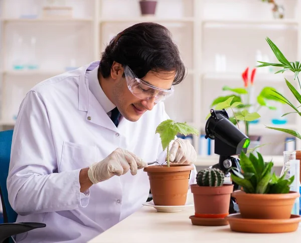 Bioteknikkemisten Som Arbetar Labb — Stockfoto