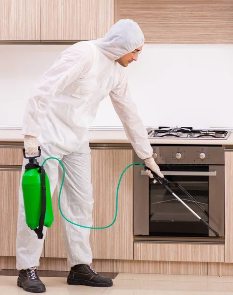 Professional Contractor Doing Pest Control Kitchen — Stock Photo, Image