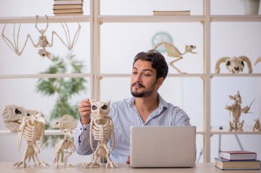 Genç paleontolog laboratuvarda antik hayvanları inceliyor.