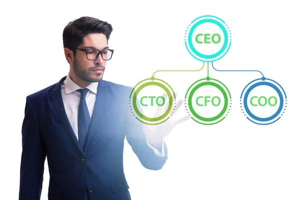 Businessman Organisation Chart Concept — Stock Photo, Image