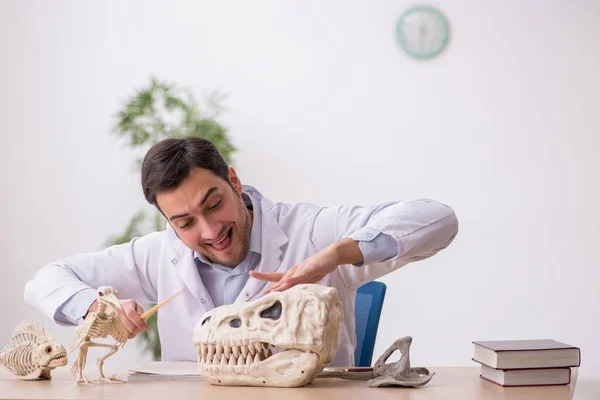 研究室で古代の動物を調べる若い学生古生物学者 — ストック写真