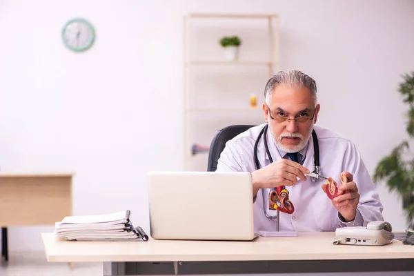 Idősebb Férfi Orvos Kardiológus Aki Munkahelyen Dolgozik — Stock Fotó