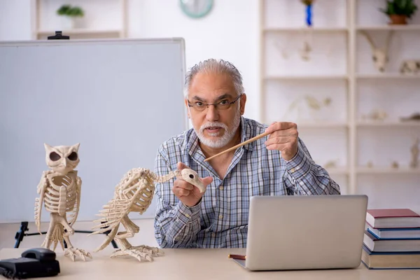 Paleontólogo Antigo Examinando Animais Antigos Laboratório — Fotografia de Stock