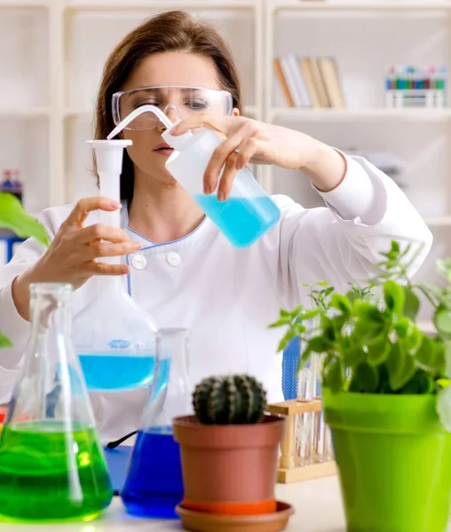 Vieja Química Biotecnológica Que Trabaja Laboratorio —  Fotos de Stock