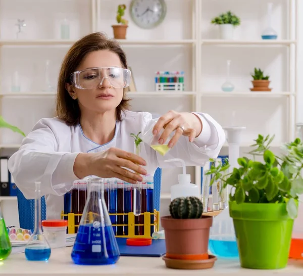 Velha Química Biotecnologia Que Trabalha Laboratório — Fotografia de Stock