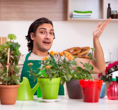 Genç yakışıklı adam evde çiçek yetiştiriyor.