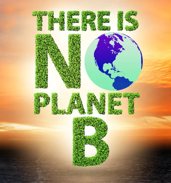 The ecological concept - there is no planet b - 3d rendering