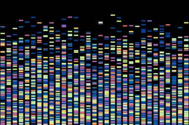 Genom veri kodunun gösterimi