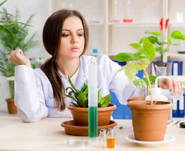Young Beautiful Biotechnology Chemist Working Lab — Stock Photo, Image