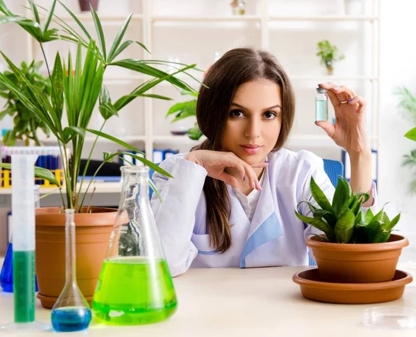 Jovem Bela Química Biotecnológica Que Trabalha Laboratório — Fotografia de Stock