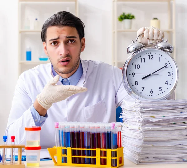 Jeune Chimiste Masculin Travaillant Dans Laboratoire — Photo