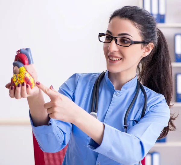 Jeune Femme Médecin Travaillant Clinique — Photo