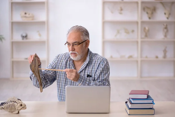 Alter Paläontologe Untersucht Uralte Tiere Labor — Stockfoto