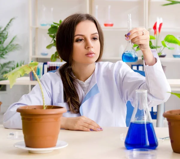 Jeune Belle Chimiste Biotechnologique Travaillant Dans Laboratoire — Photo