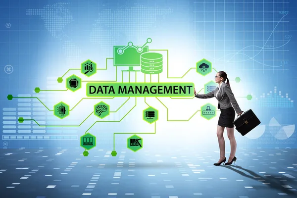Unternehmerin Datenmanagementkonzept — Stockfoto
