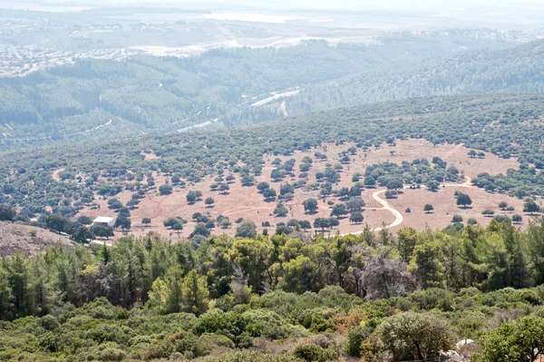 Galilee.Israel. — ストック写真