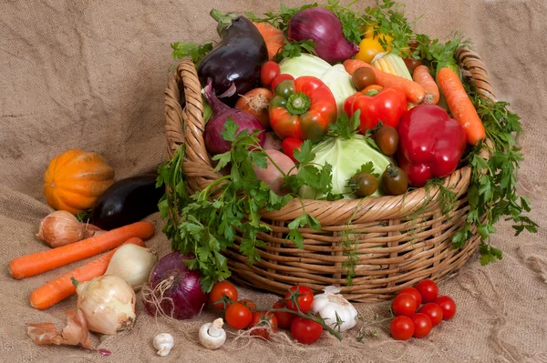 Fresh colorful vegetables in basket — Stock Photo, Image