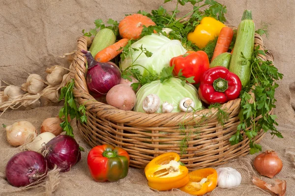 Fresh colorful vegetables in basket — Stock Photo, Image