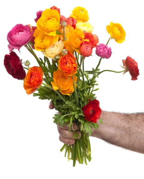 Bunte Blumen — Stockfoto