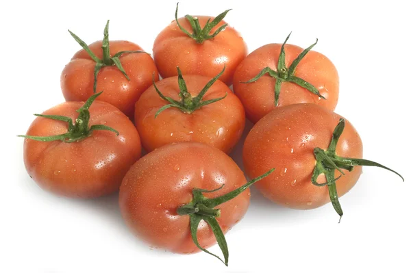 Fresh ripe tomatoes — Stock Photo, Image