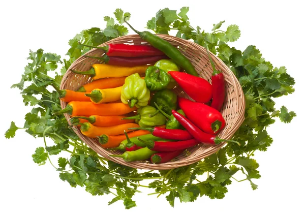 Fresh colorful peppers and parsley — Stock Photo, Image