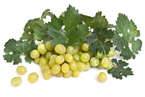 Green grape with leaves — Stock Photo, Image