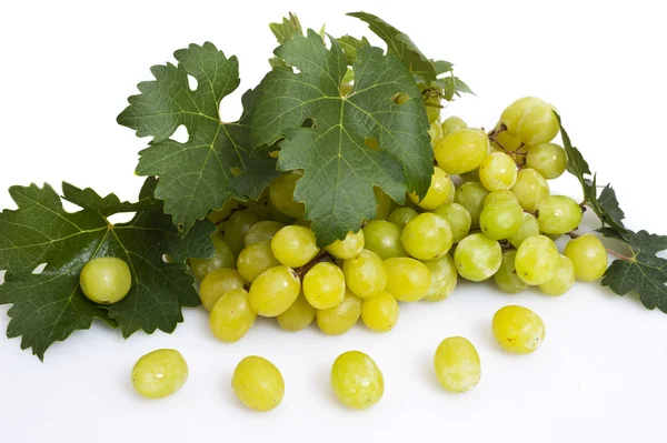 Green grape with leaves — Stock Photo, Image